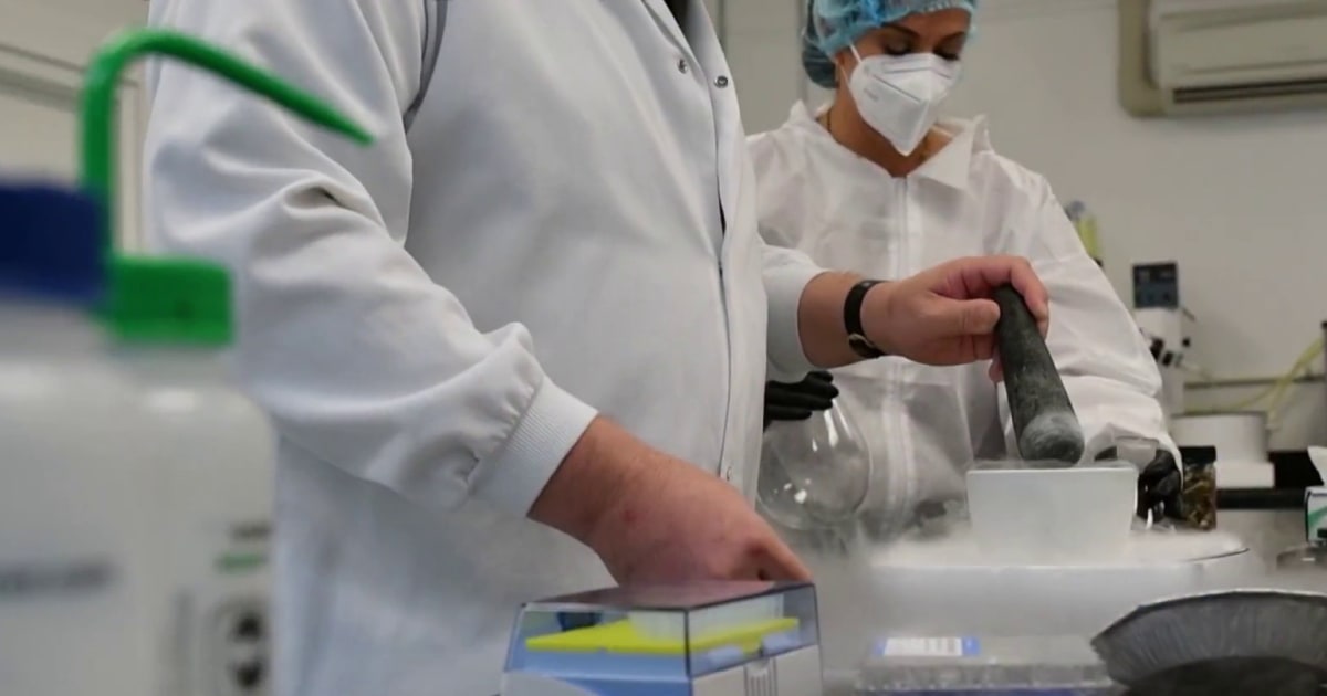 FDA moves to fast-track three psychedelic drugs for review