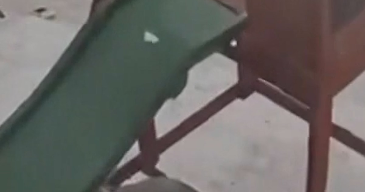 Tornado Rips Through Florida Backyard