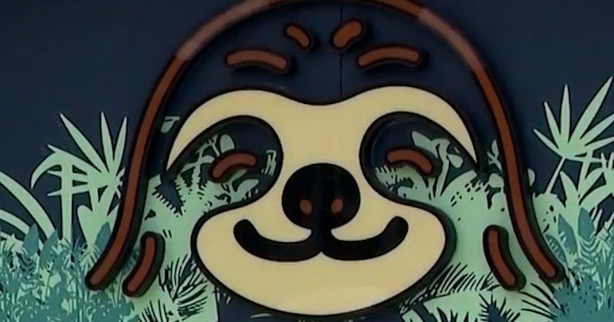 Calls To Halt Sloth World After Animals Die At Facility