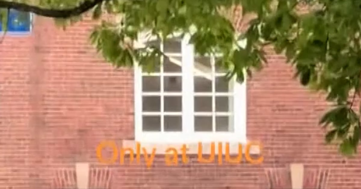 Cow Runs Loose On University Of Illinois Campus - Beritaja