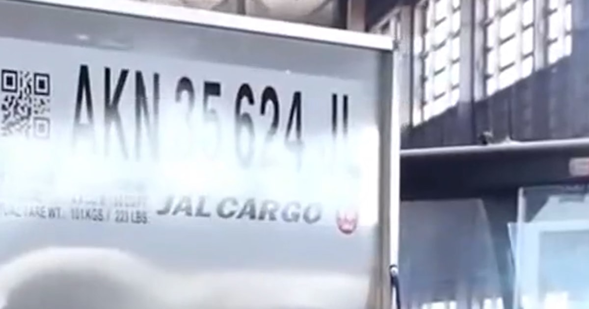 Japan Airlines Trials Humanoid Robot Baggage Handlers