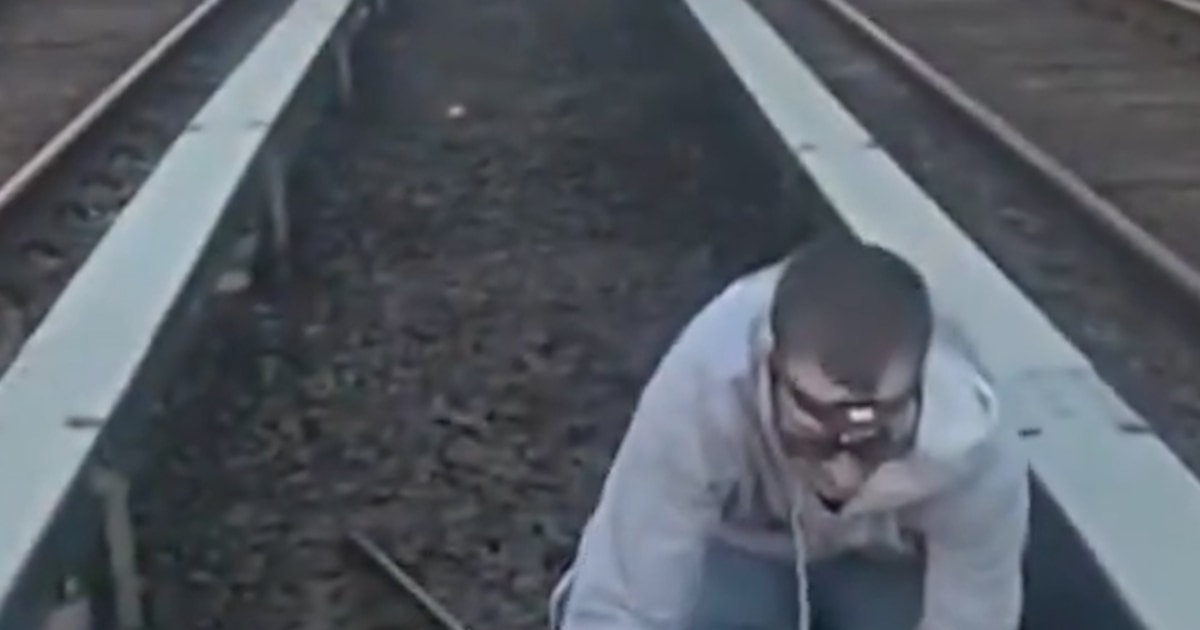 Cat Rescued From In-between New York Train Tracks