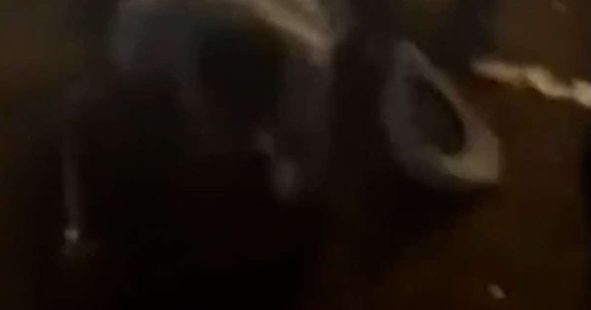 Several Injured After Stampede At A South Carolina Rodeo - Beritaja