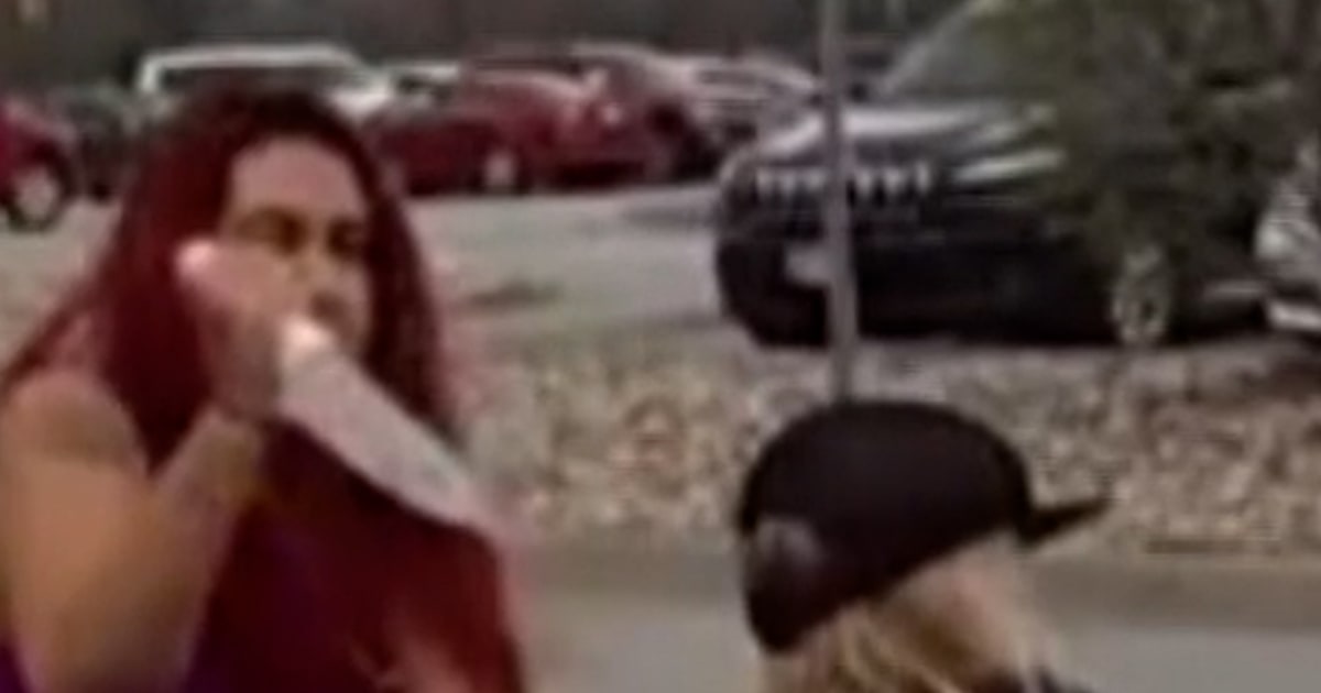 Photos Show Woman Who Allegedly Tried To Kidnap Toddler - Beritaja