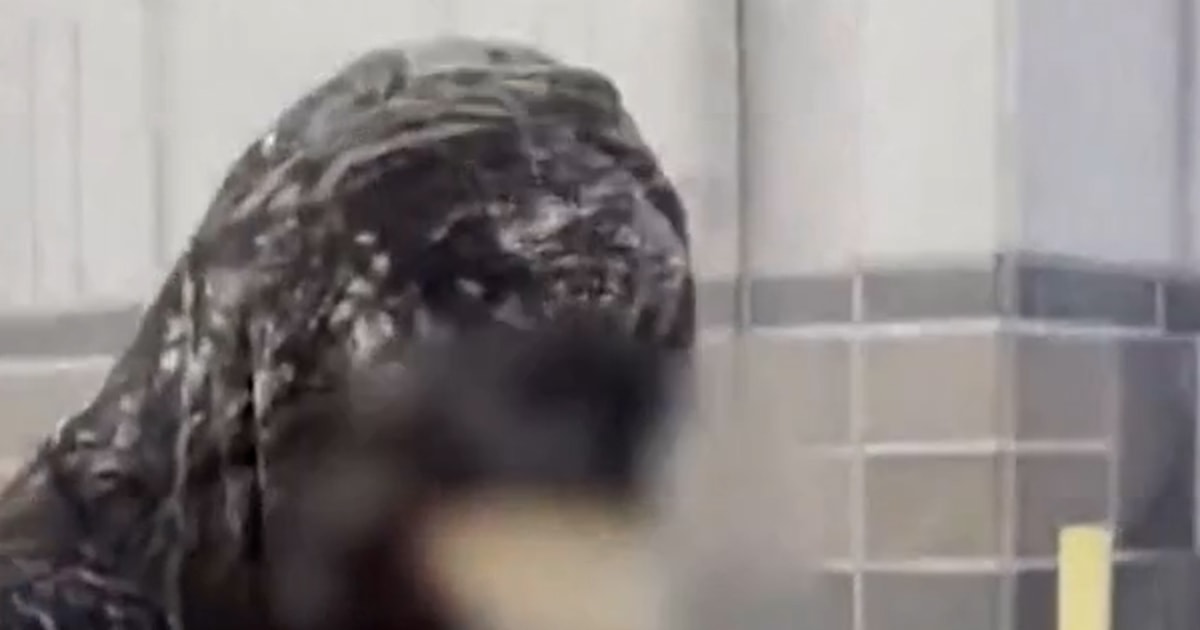 Teen charged with murder in stepsister's cruise ship death