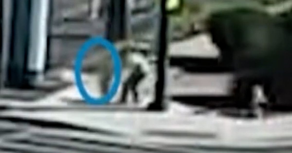 Video Captures Moment Toddler Was Rescued From Traffic - Beritaja