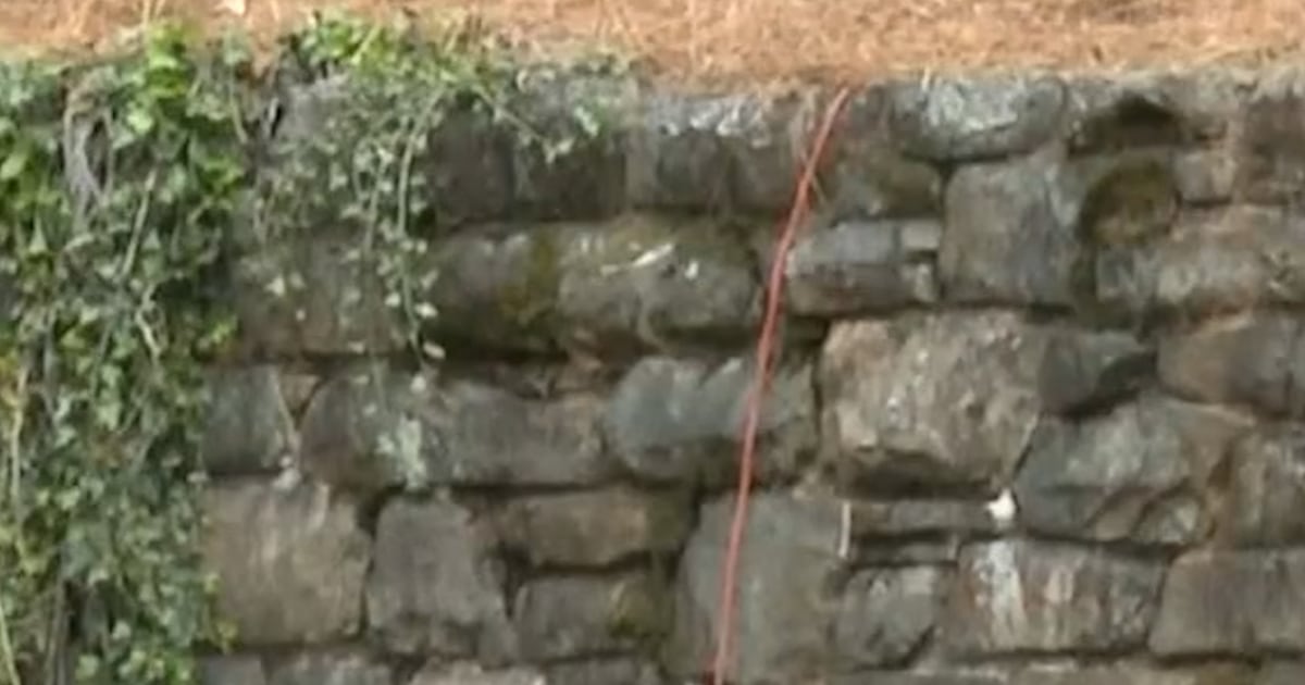 Pink tutus appear on statues across parks in Alabama