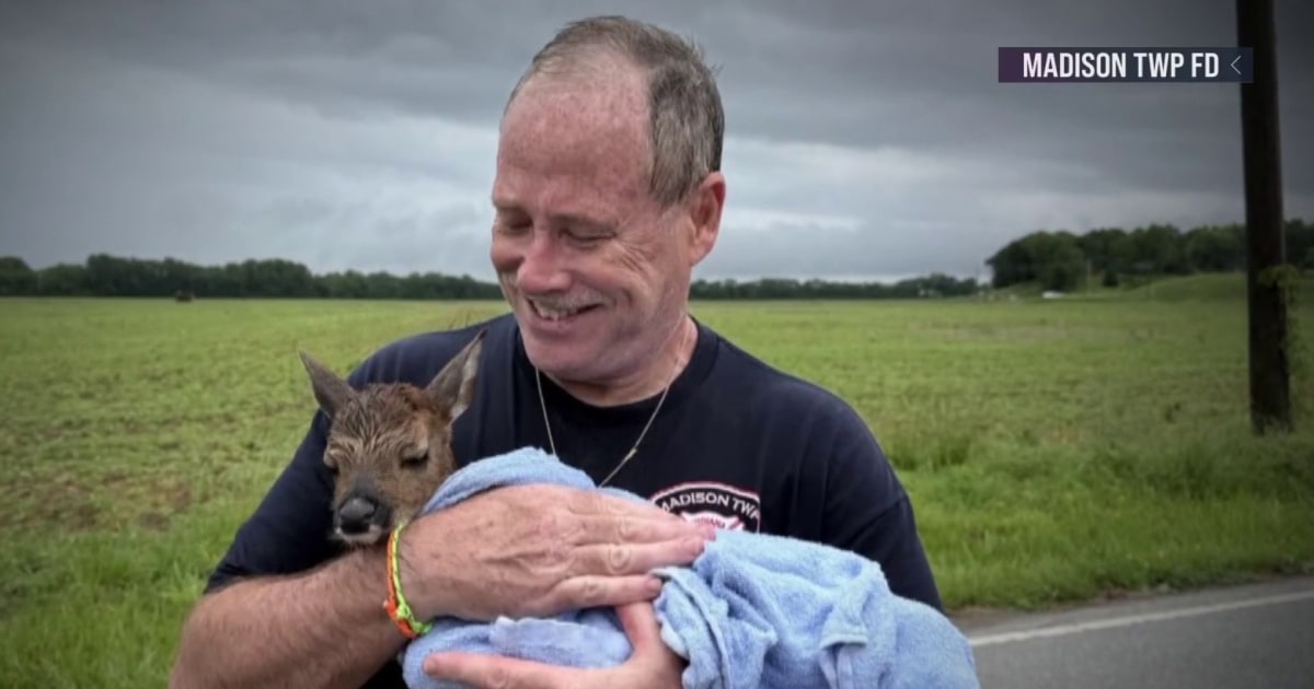 Oh deer: Indiana firefighters rescue baby deer from rushing floodwater