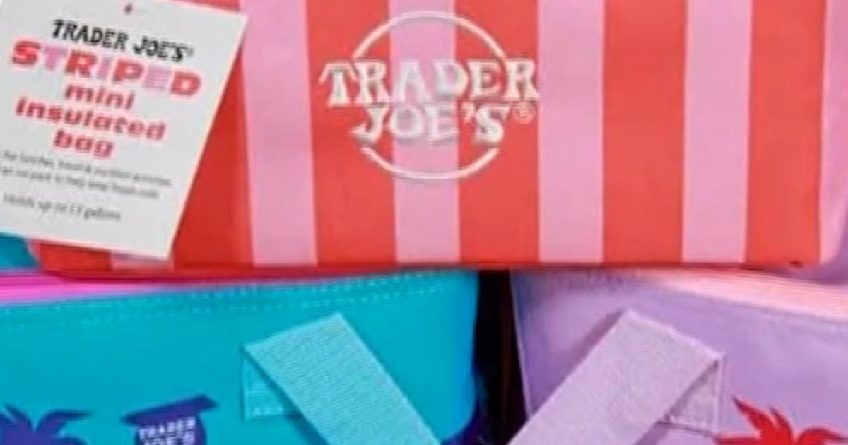 Trader Joe's Unveils New Insulated Mini Tote Bag - Beritaja