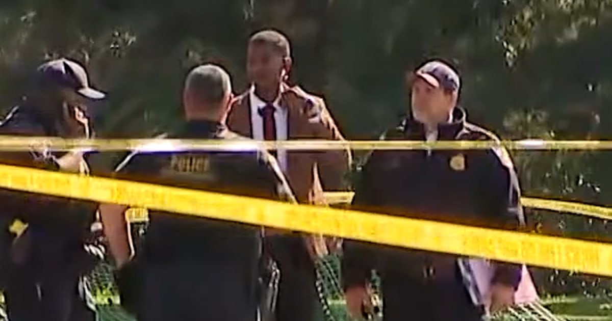 Secret Service Shoots Armed Man Near White House - Beritaja