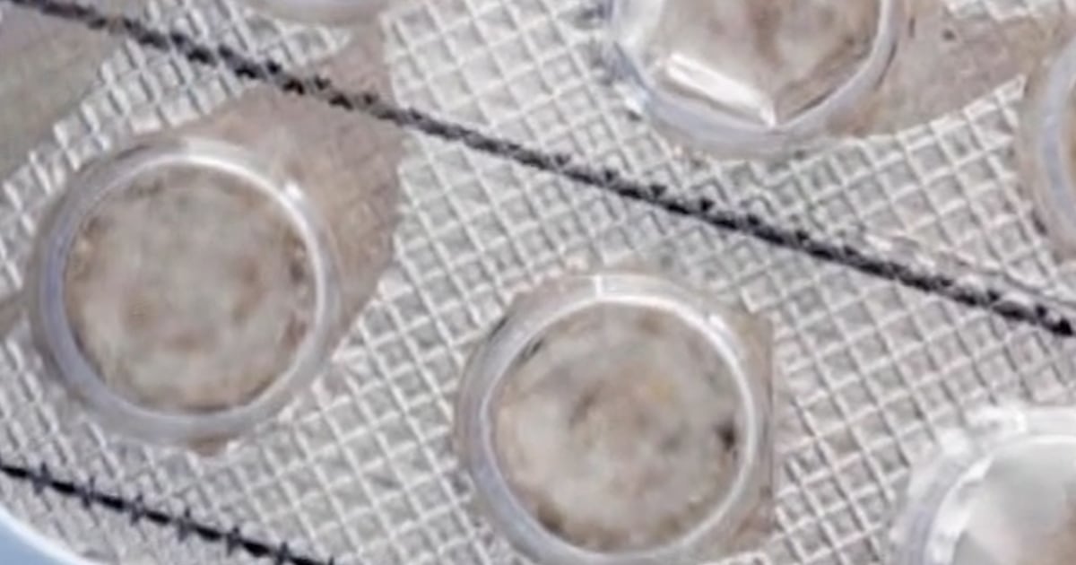 Abortion pill maker asks to restore mail access