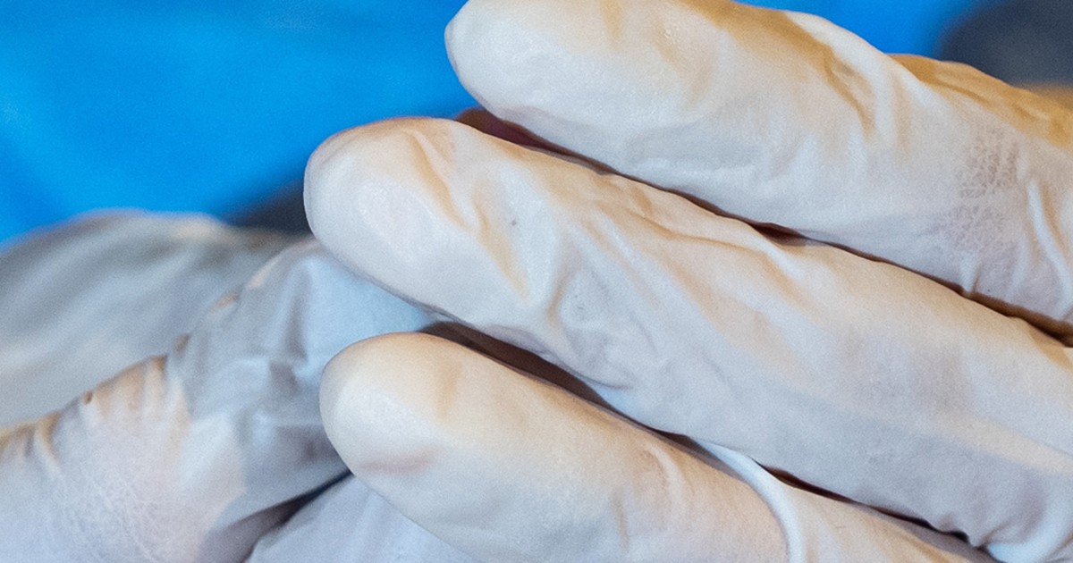 Officials Track Hantavirus As Passengers Return To U.s. - Beritaja