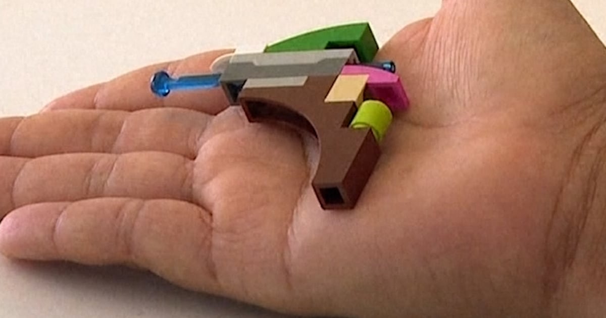 Special needs student suspended over LEGO gun - BERITAJA