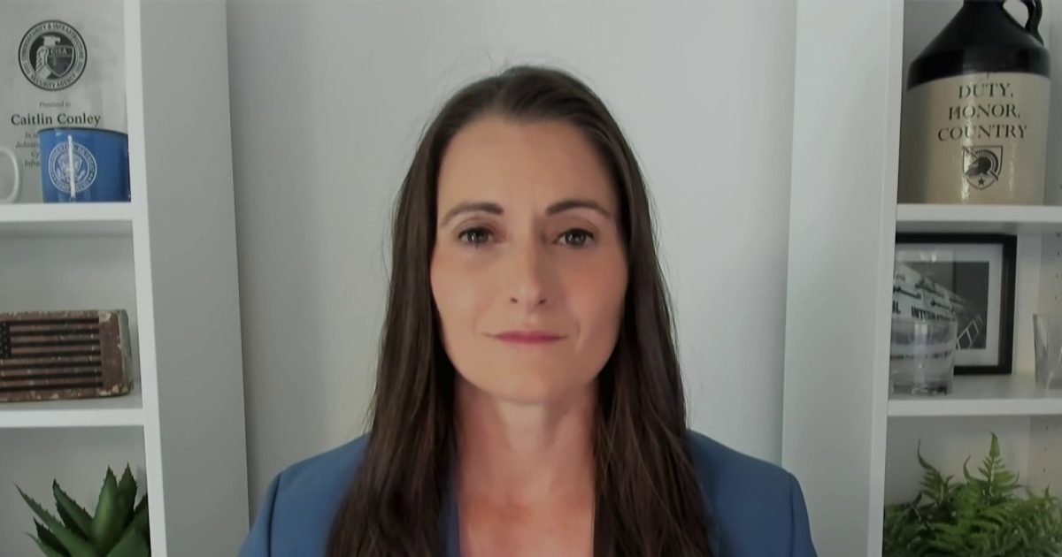 Democratic Candidate Wins Primary to Challenge Incumbent in New York House Race