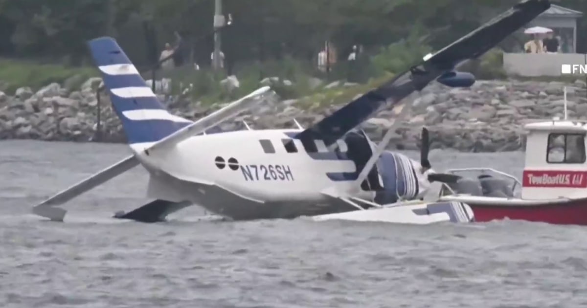 Seaplane Makes Hard Landing in East River, Eight People Rescued