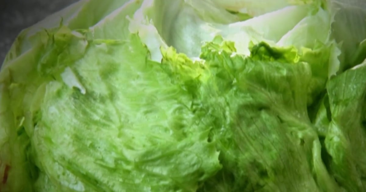 NBC News Reports Lettuce Recall Expansion Alongside U.S. Casualties, Disasters, and Election Security Proposals