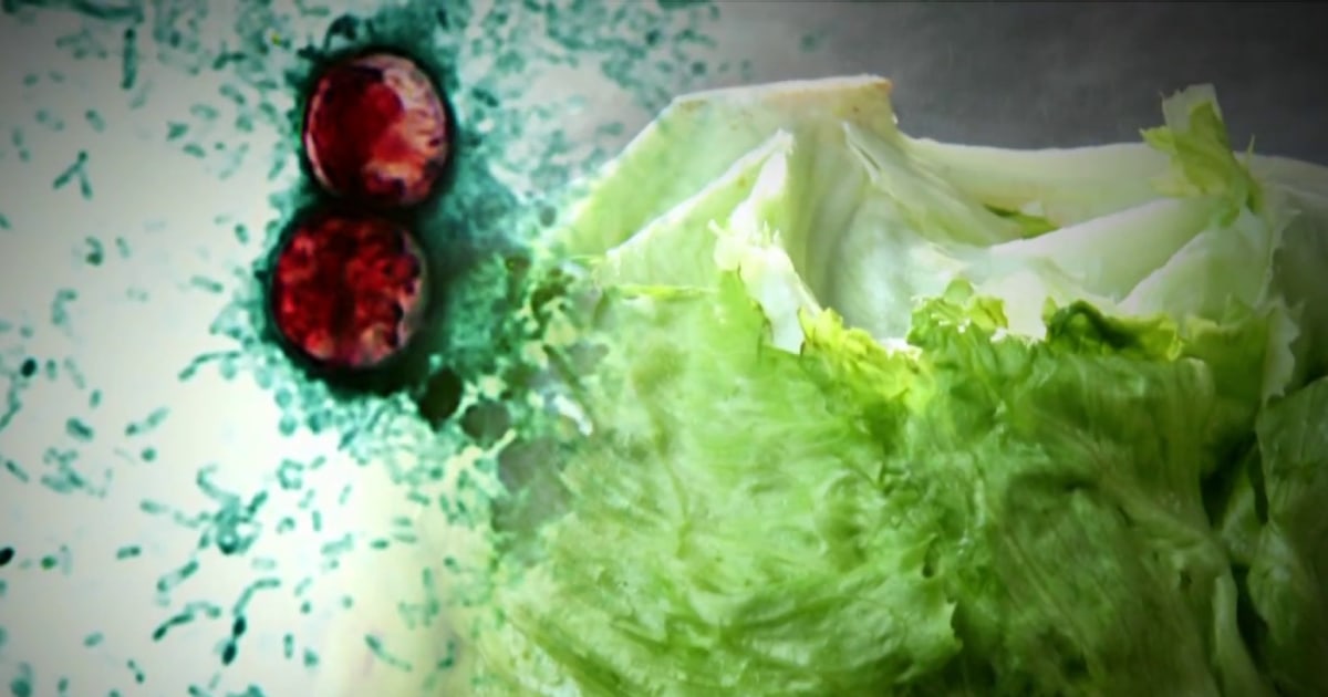 Cyclospora outbreak from tainted lettuce served at Taco Bell expands
