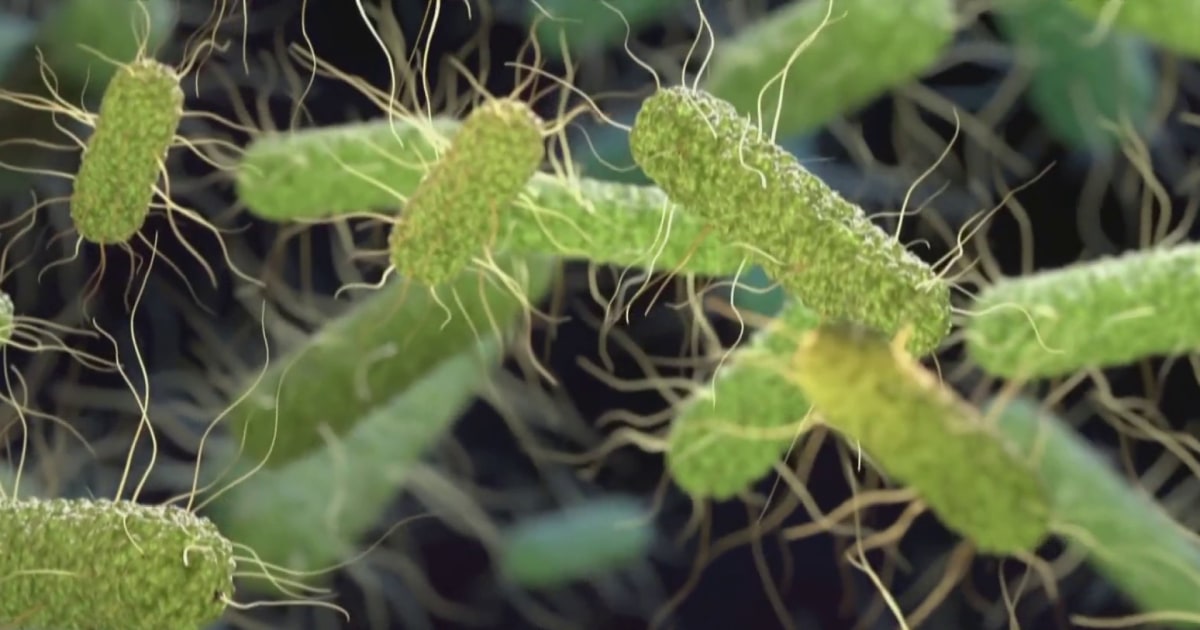 Coverage image for: Salmonella outbreak expands to 27 states