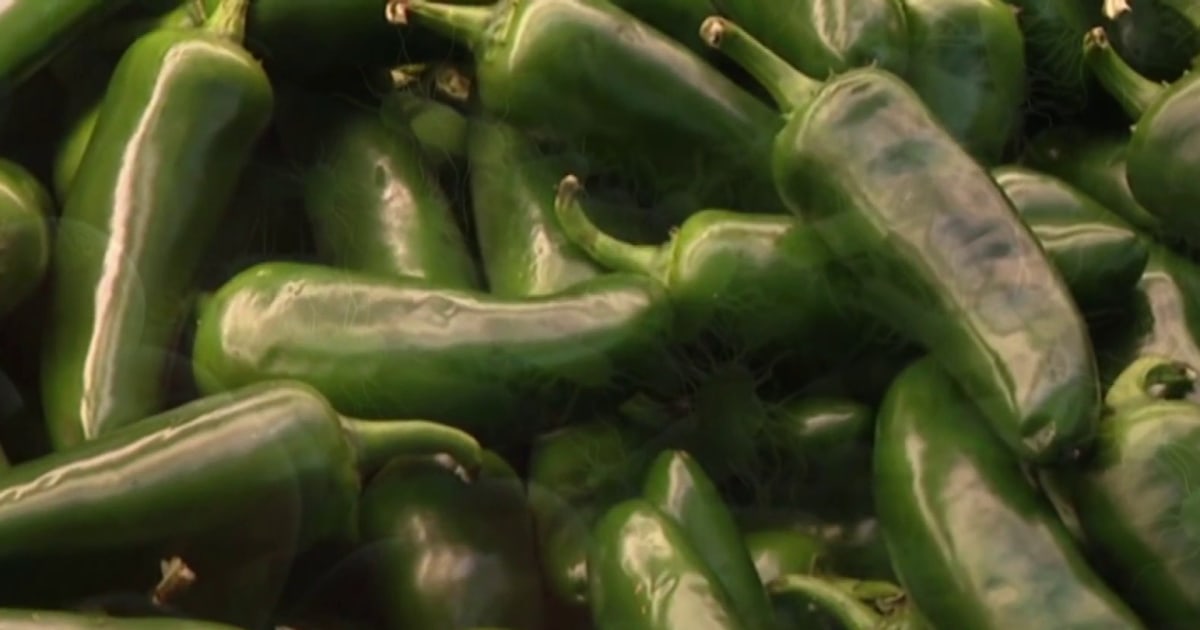 Salmonella outbreak expands to 27 states
