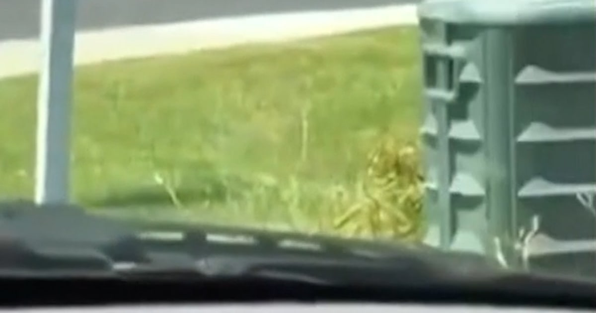 Coverage image for: At least three dead in shooting at Idaho In-N-Out