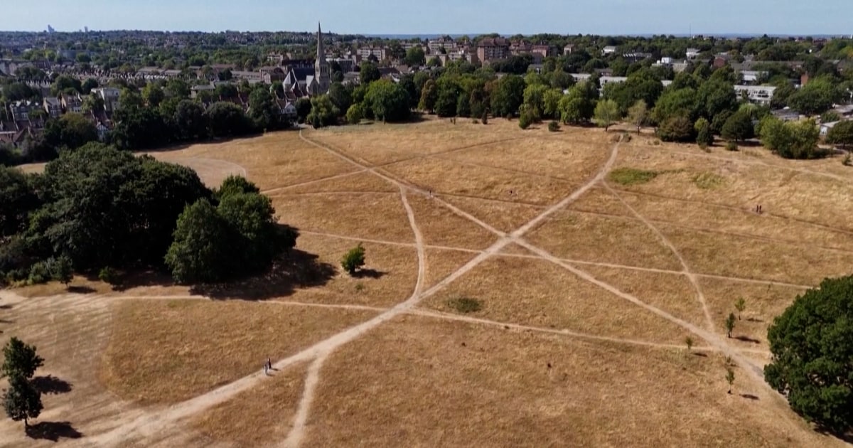London’s green parks turn brown after weeks of extreme heat