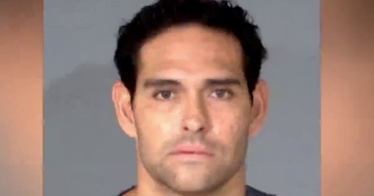 Mark Sanchez to plead guilty