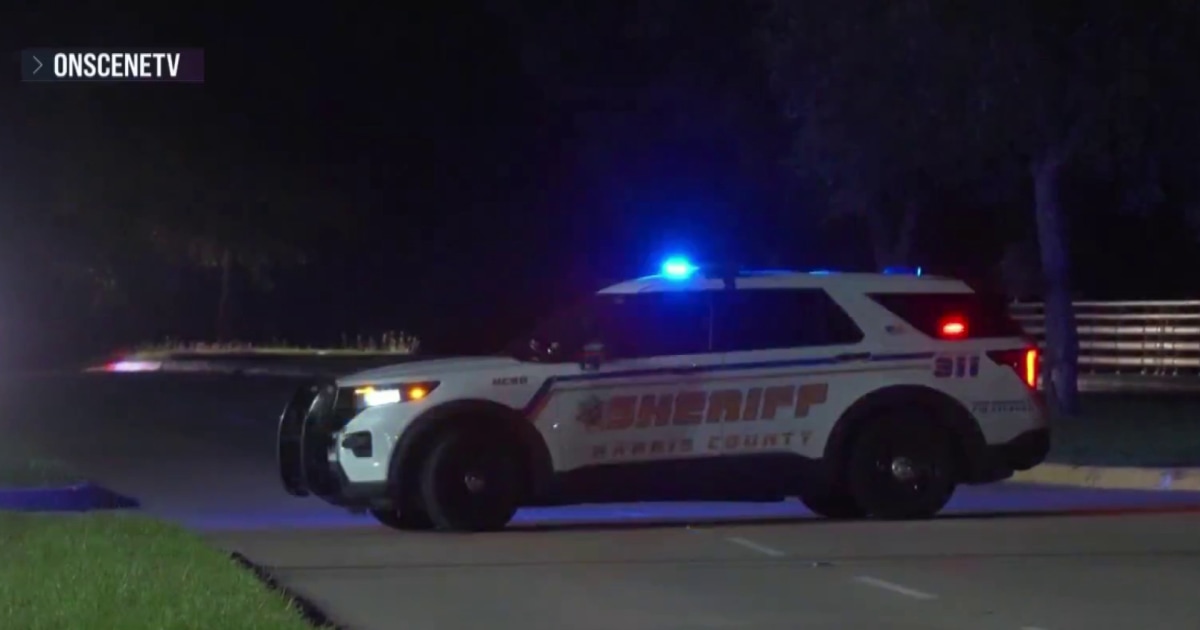 Coverage image for: Police: Child killed in potential road rage shooting