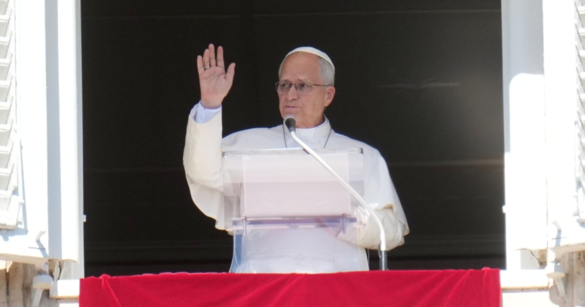 Special report: Vatican says Pope Leo diagnosed with lung cancer after surgery
