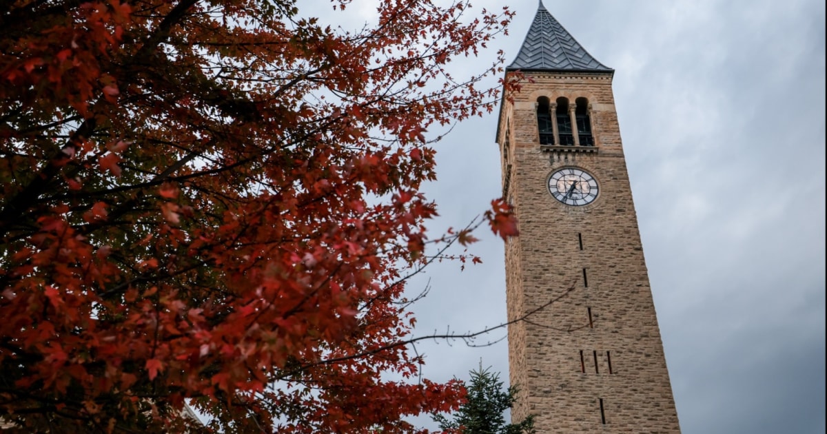 Former Cornell student alleging sexual assault addressed faculty senate in letter