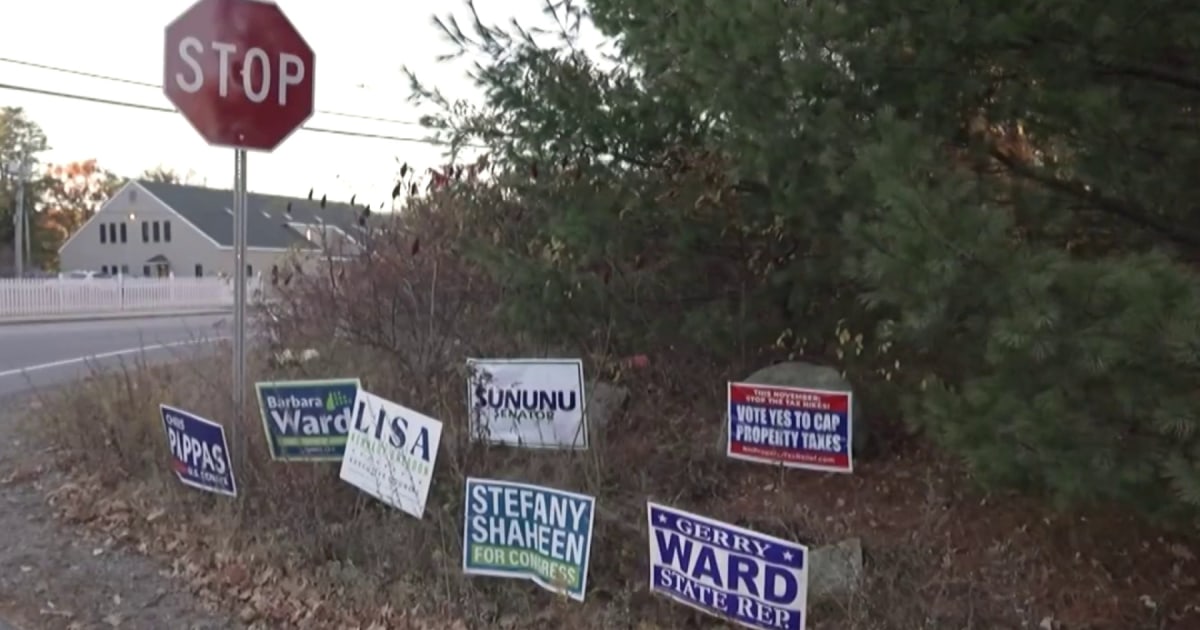Independent voters hold the key in New Hampshire's high-stakes Senate race