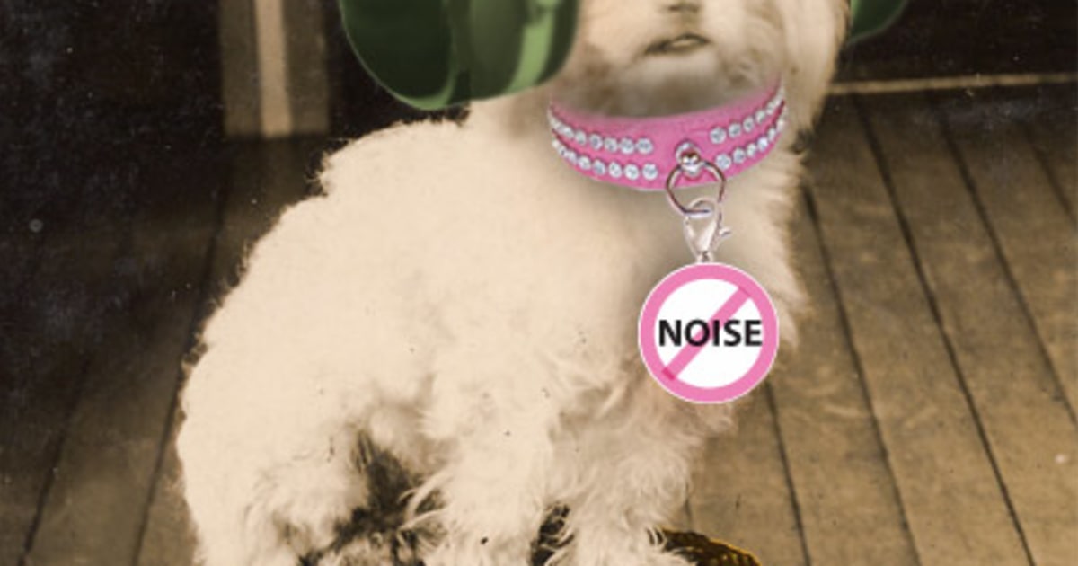 The sound of fear: Noise phobias torment dogs