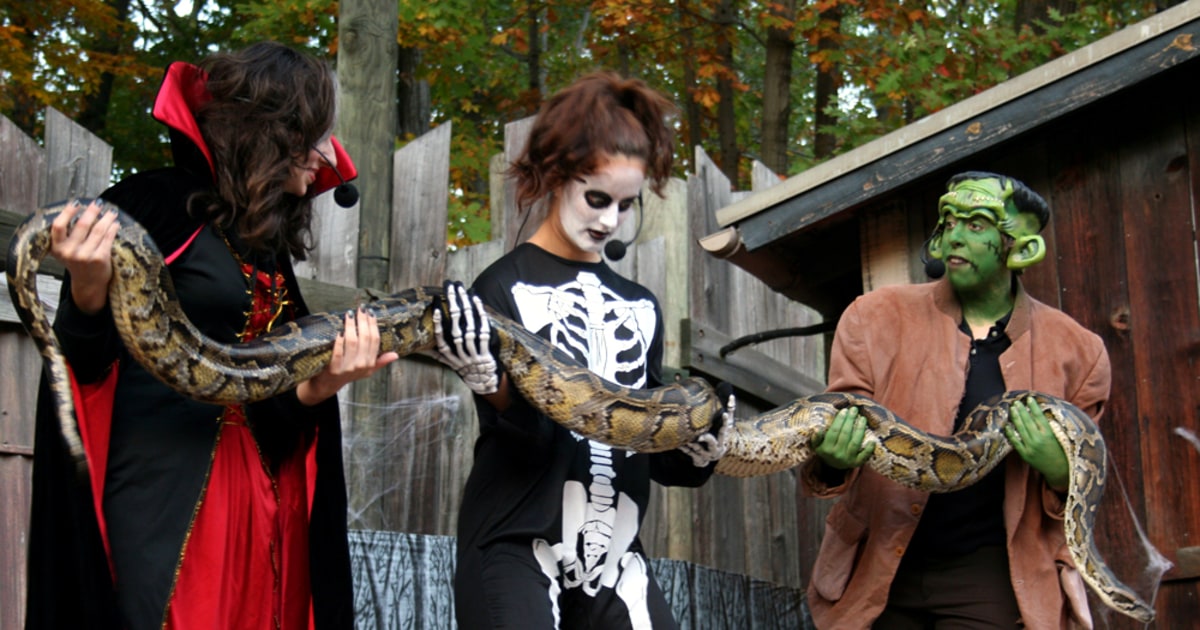 Tricks And Treats: Zoos Go All Out For Halloween