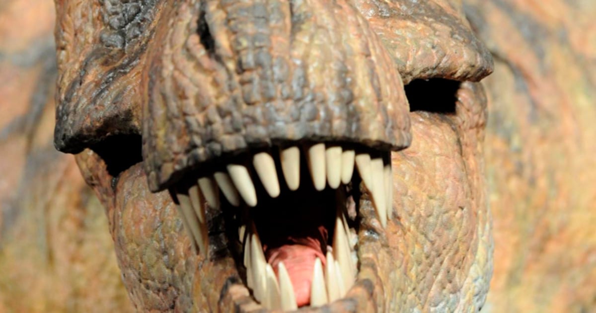 T. rex noses out dinosaur competition