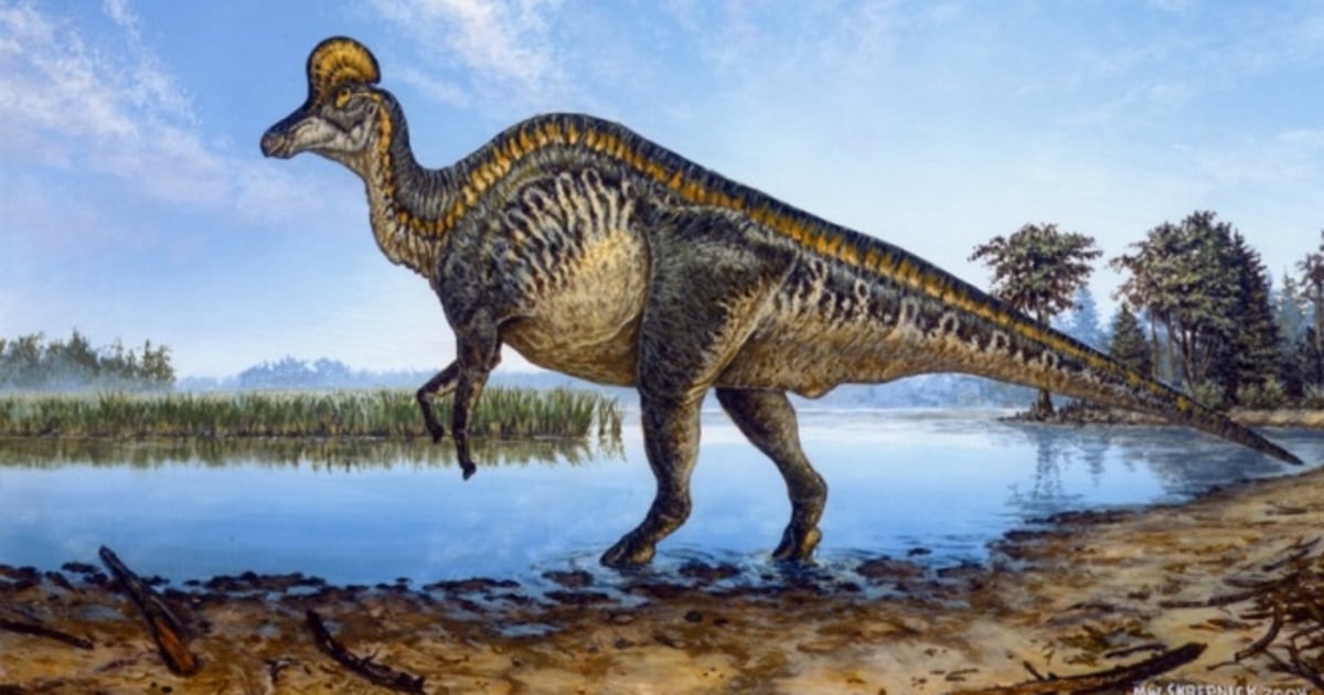 Duck Billed Dinos Had Built In Sound Systems