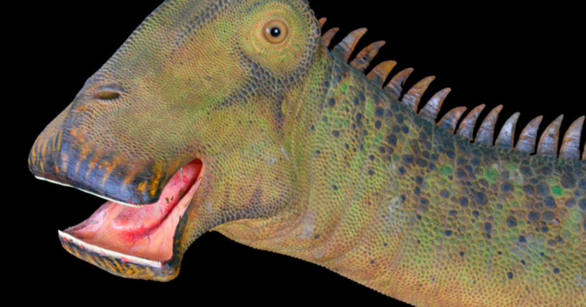 what dinosaur has 5000 teeth