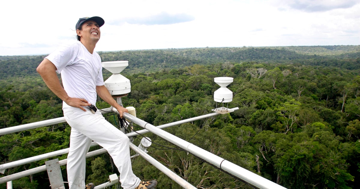 Amazon forest still a global warming mystery