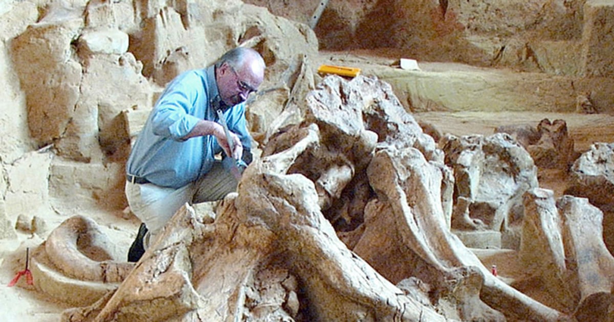 Archaeological vacations you'll really dig