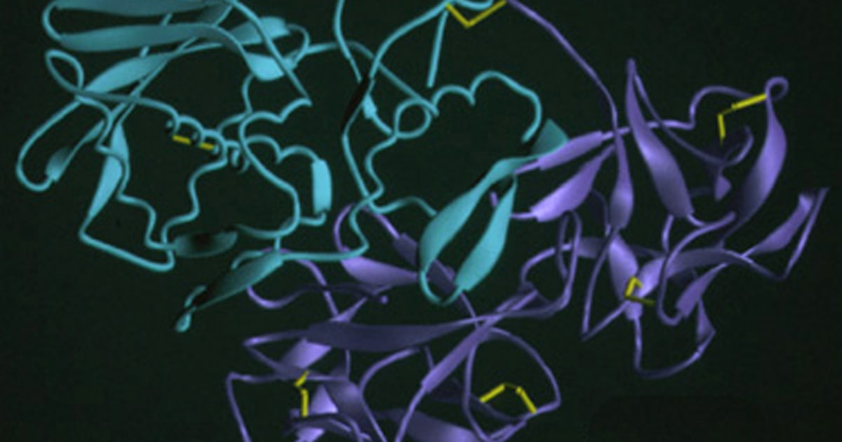 Homemade Ricin Lab Scientists work on strategies to defeat ricin