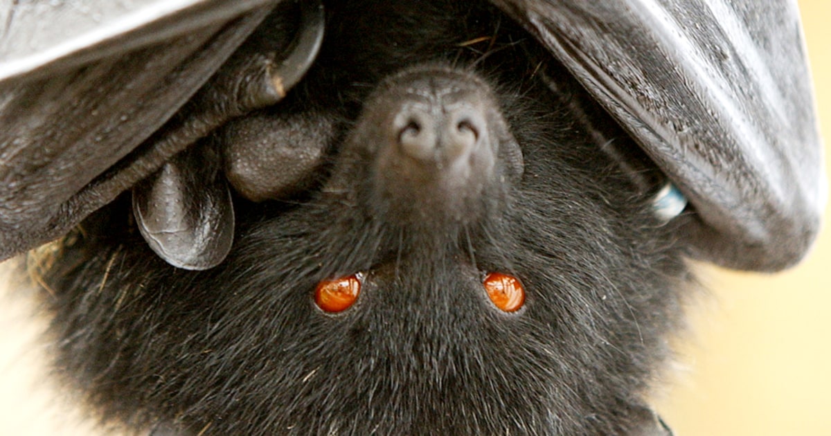 Study maps species with no protections