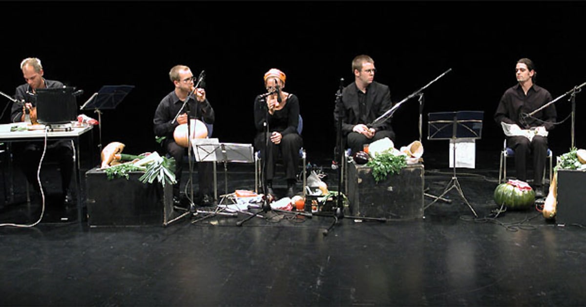The vienna vegetable clearance orchestra