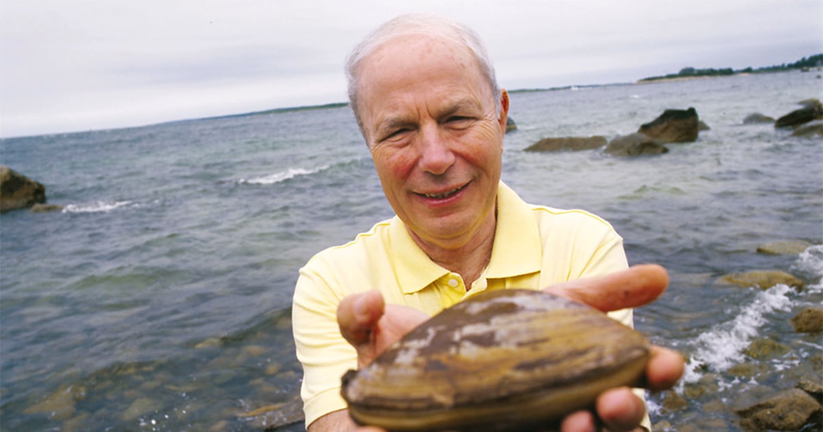 Secrets of disease hidden in clams