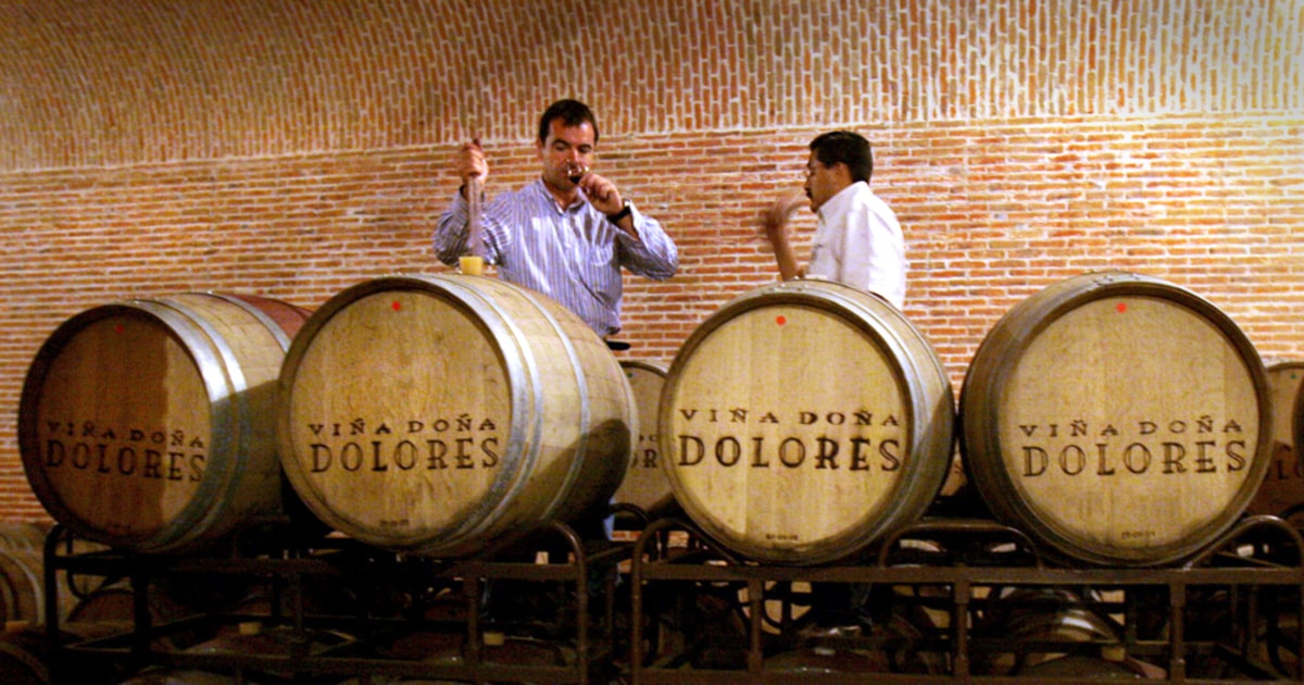 Winemakers make their mark in Mexico