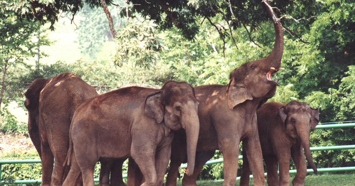 050429_zoopoo2_830.jpg