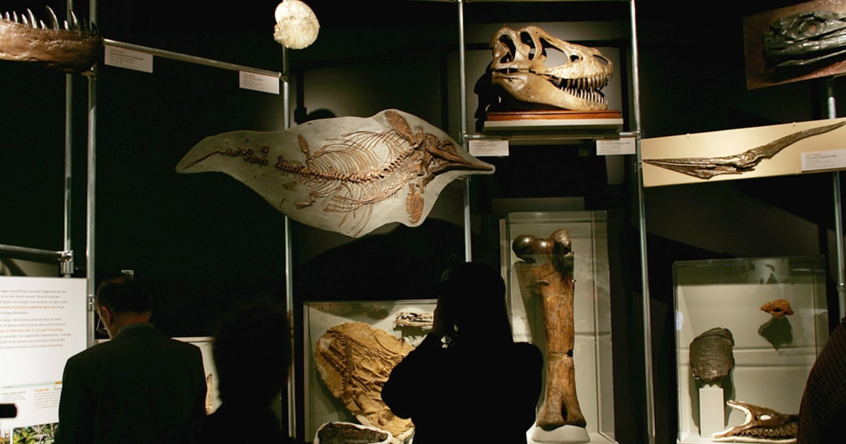 dino exhibit rotterdam