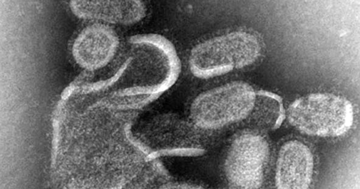 The science behind the flu