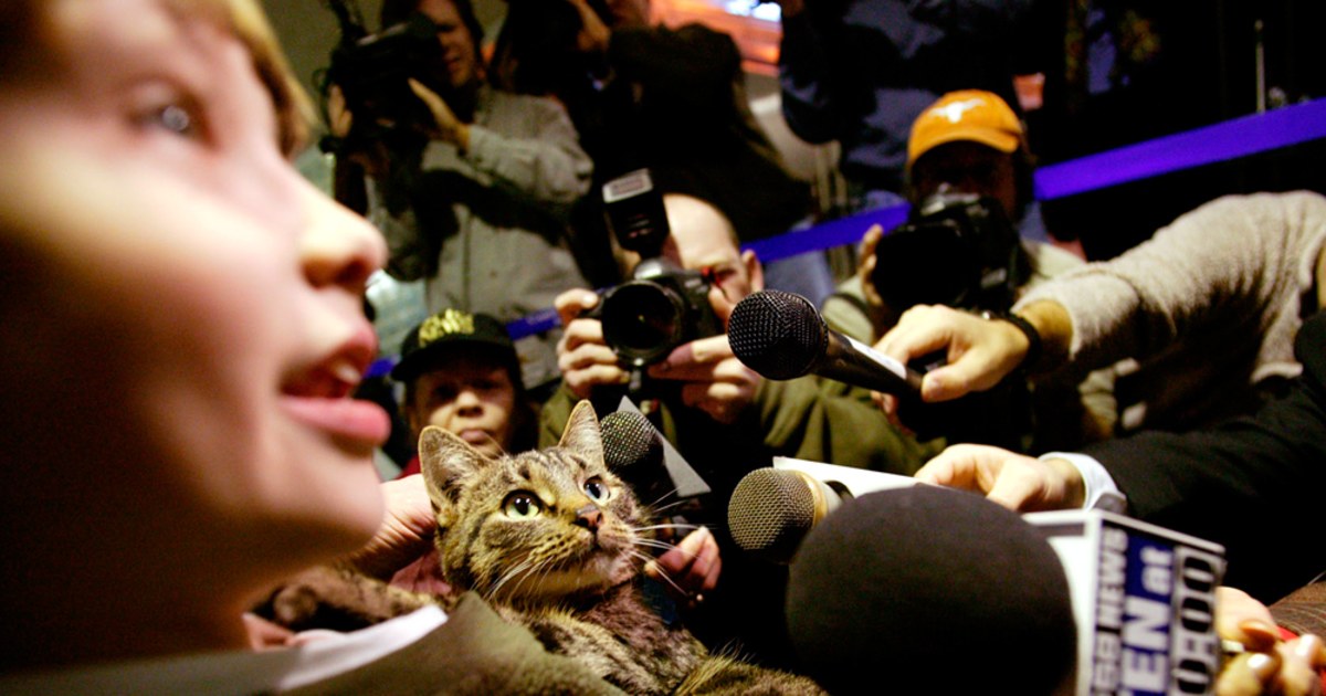 Bugün öğrendim ki: 2005 yılında Wisconsin'de...