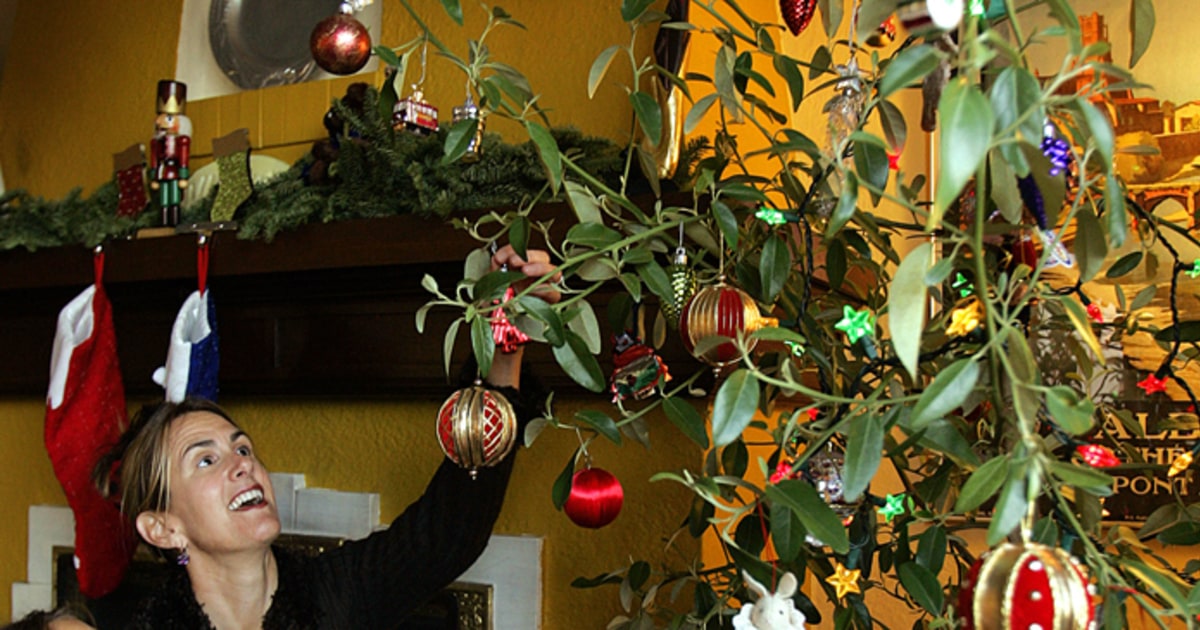 Feel guilty buying a Christmas tree? Rent one