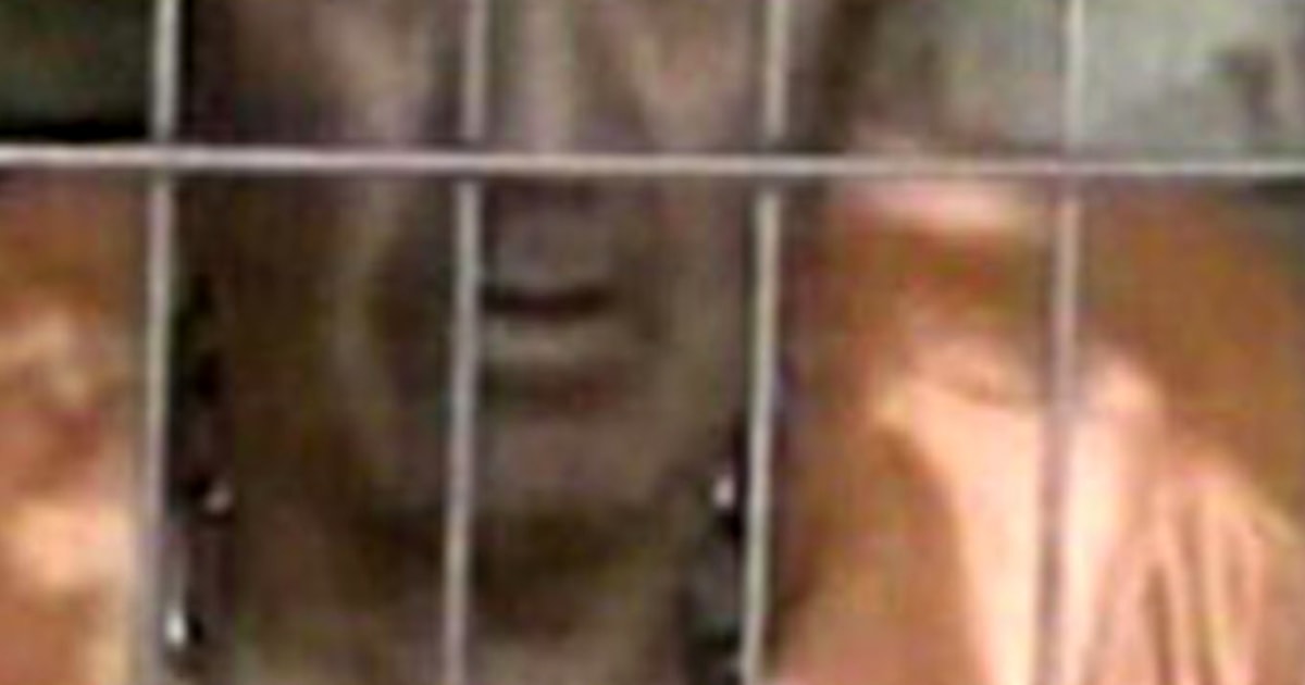 pic Ken Bigley Death Video https www nbcnews com id wbna13196141