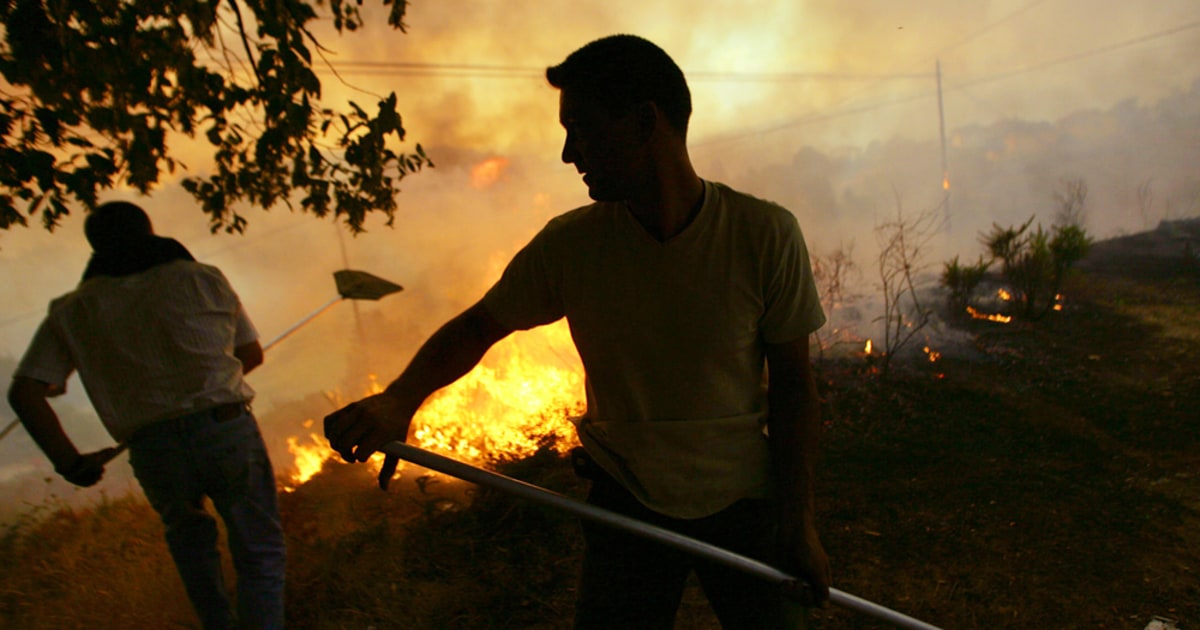 Authorities Spanish wildfires deliberately set