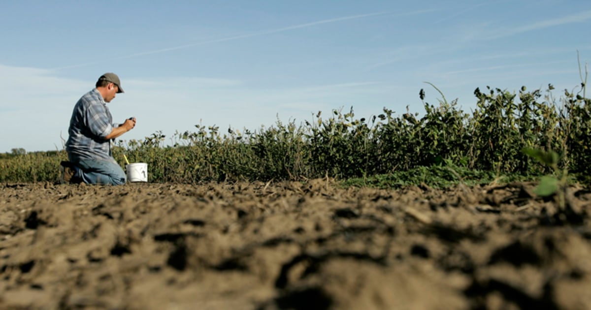 Drought taking cash, mental toll on farmers